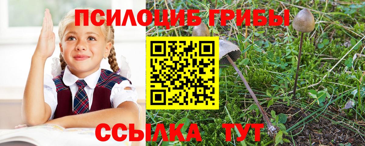 Псилоцибиновые грибы MAGIC MUSHROOMS  Галлюциногенные грибы ЛСД  Вход с VPN  Гурьевск 