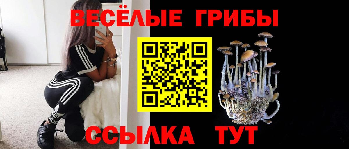 Галлюциногенные грибы Psilocybine cubensis Гурьевск